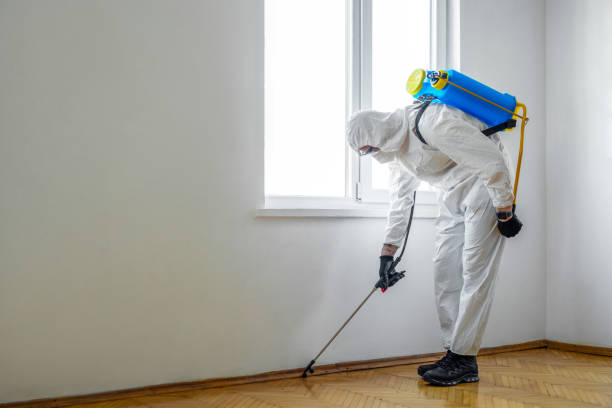 Professional Pest Control in Wormleysburg, PA